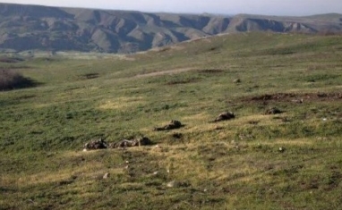 Гасанов: Мхитарян и гроша ломанного не стоит
