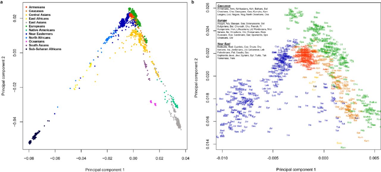 Этногенез армян в современном мире