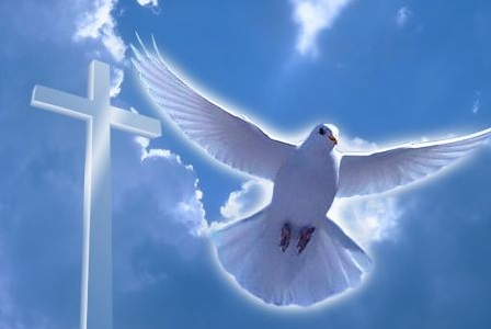 В угоду совести - вопреки крикунам