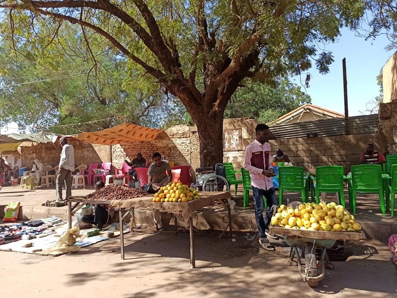 К армянам в мятежный Судан, изображение №10